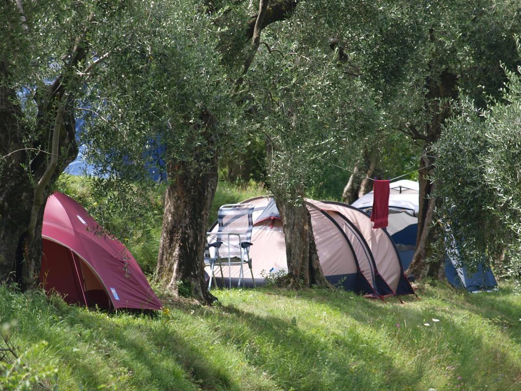Camping Brione Campsite